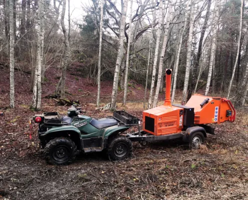 Fyrhjuling och flistugg i skogen