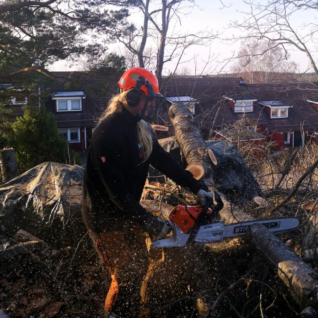 UHR medarbetare sågar i skogen