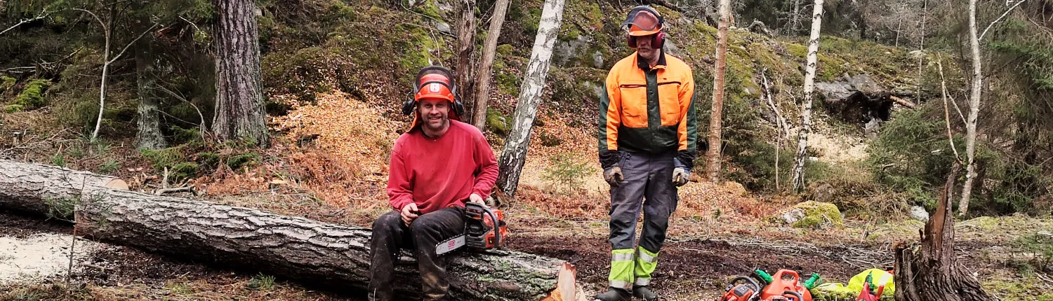 UHR medarbetare i skogen