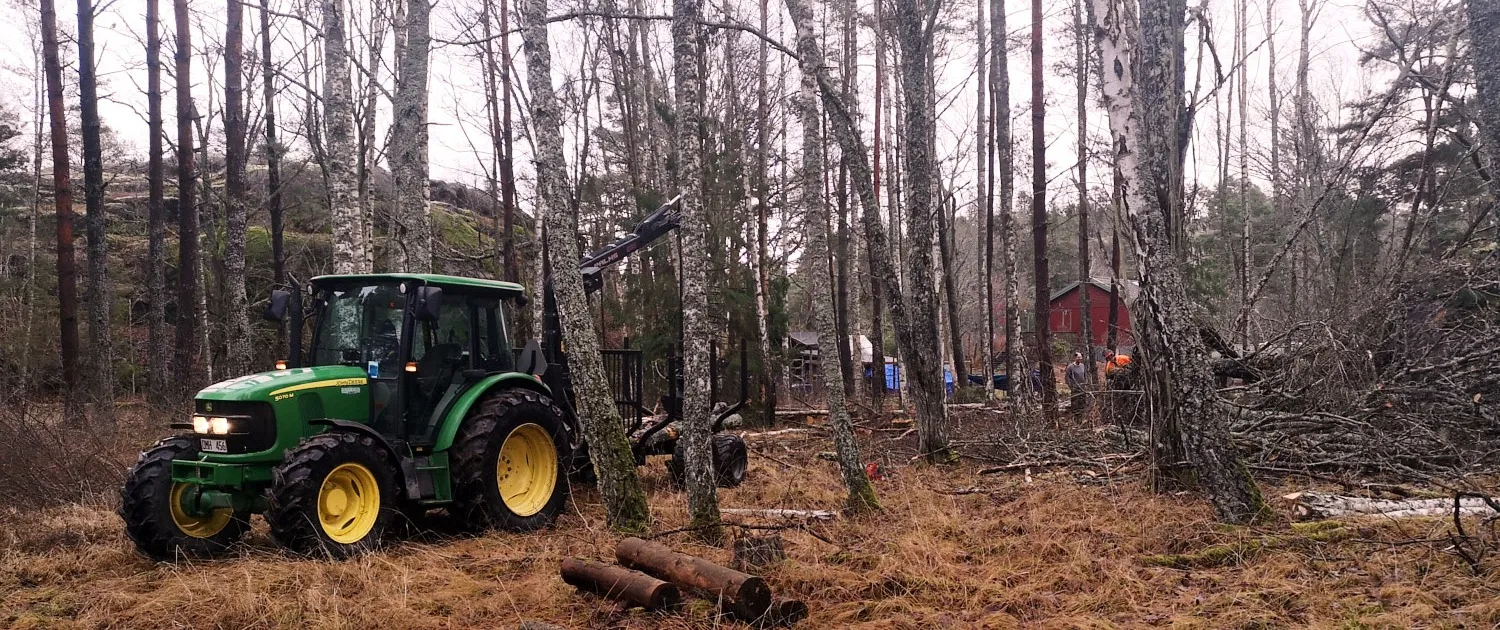 UHR på uppdrag i skogen